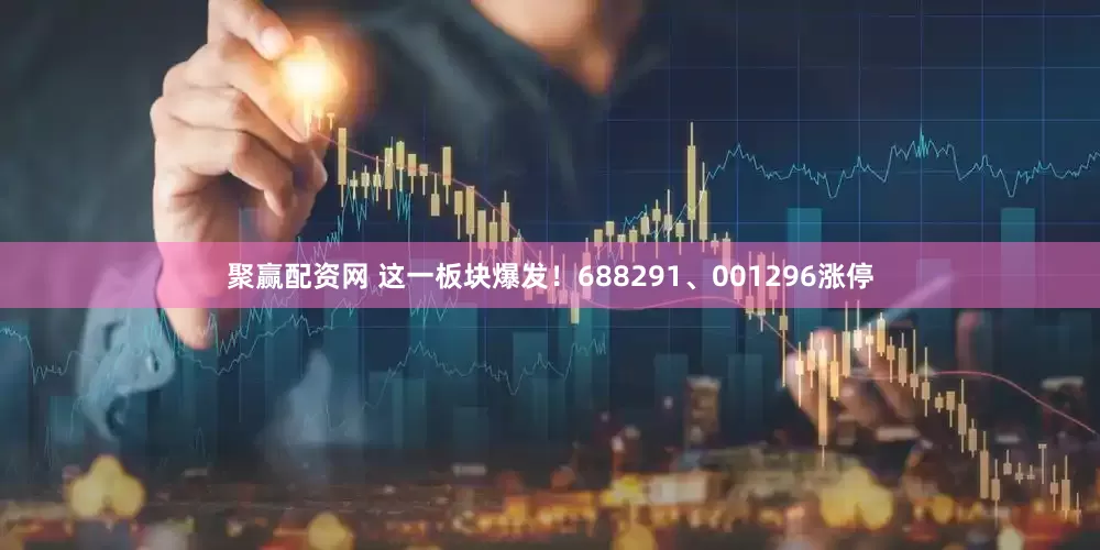 聚赢配资网 这一板块爆发！688291、001296涨停