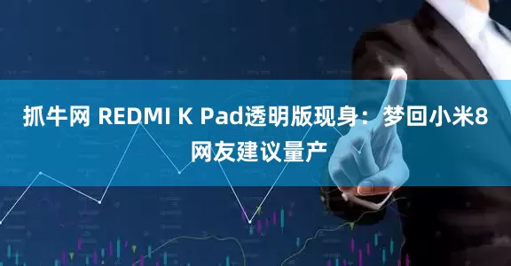 抓牛网 REDMI K Pad透明版现身：梦回小米8 网友建议量产