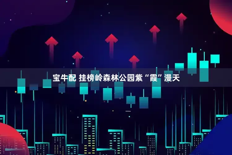 宝牛配 挂榜岭森林公园紫“霞”漫天