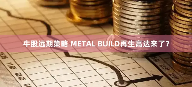 牛股远期策略 METAL BUILD再生高达来了？