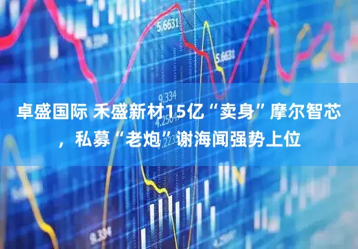 卓盛国际 禾盛新材15亿“卖身”摩尔智芯，私募“老炮”谢海闻强势上位