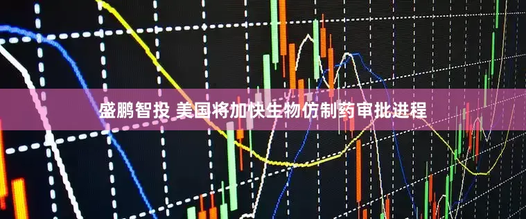 盛鹏智投 美国将加快生物仿制药审批进程